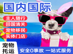 长沙机场托运国际宠物托运 【国